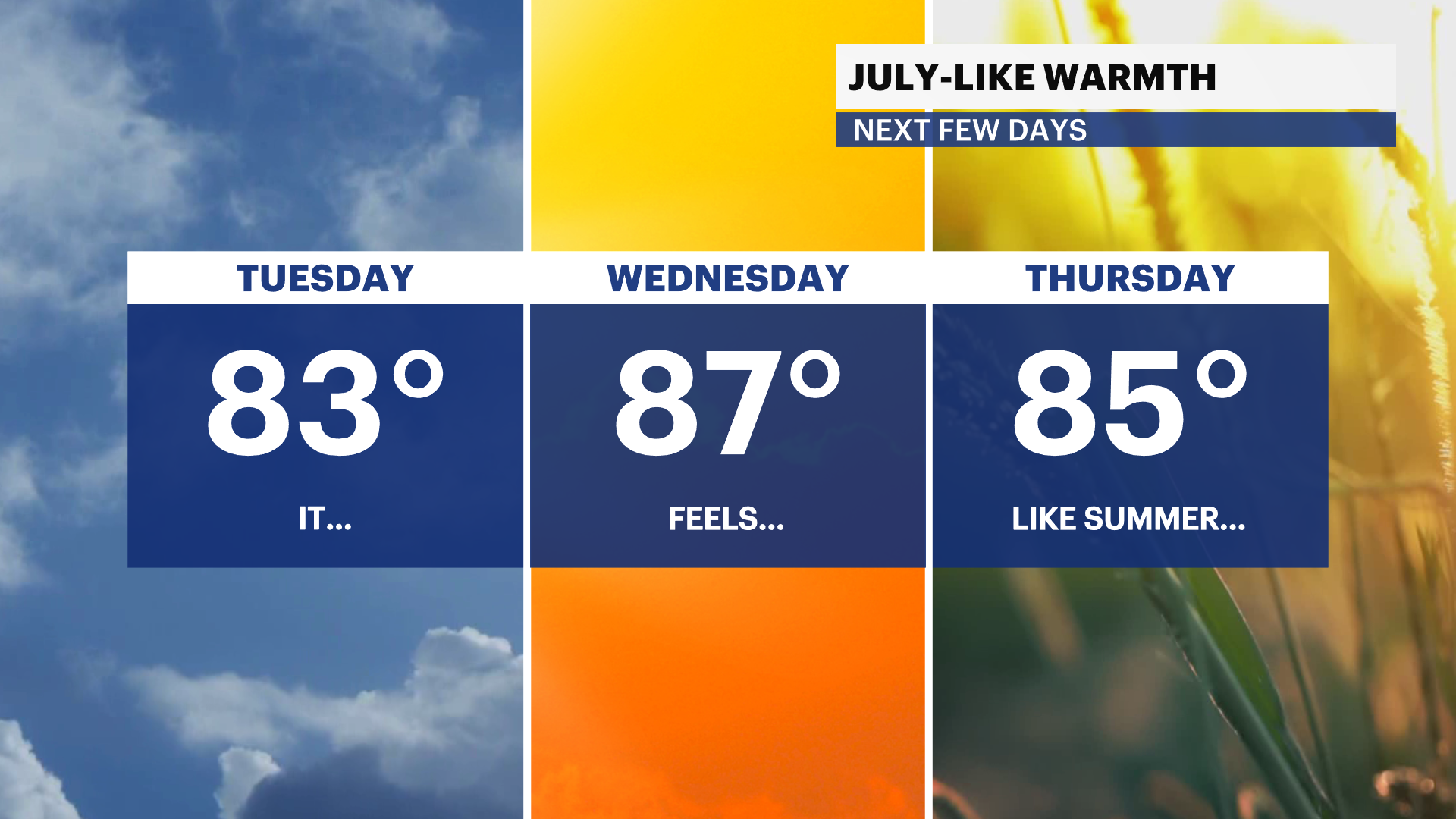 X_Panel_Compare_3 (1).png