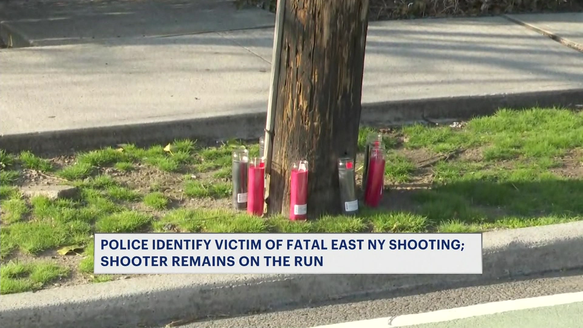 wortmanavefatalshootingCM_2026-03-30-17-39-25