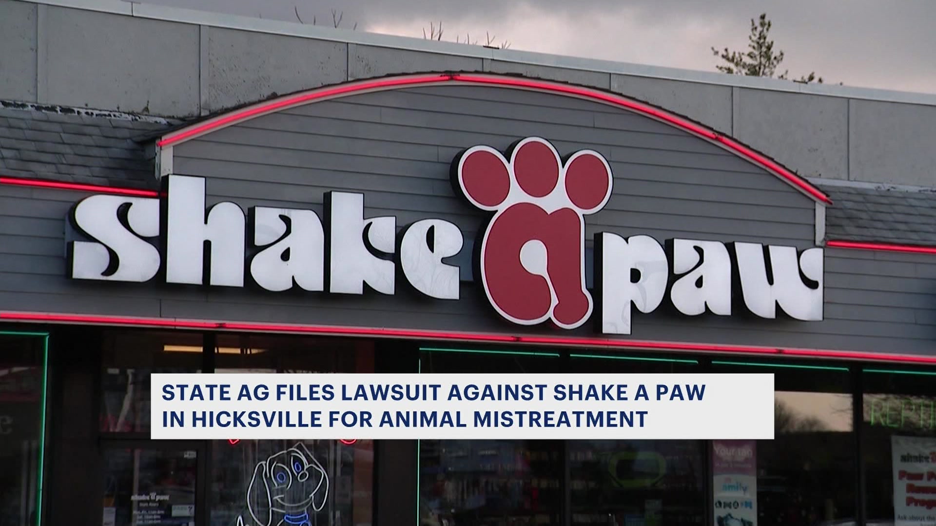 Shake best sale a paw