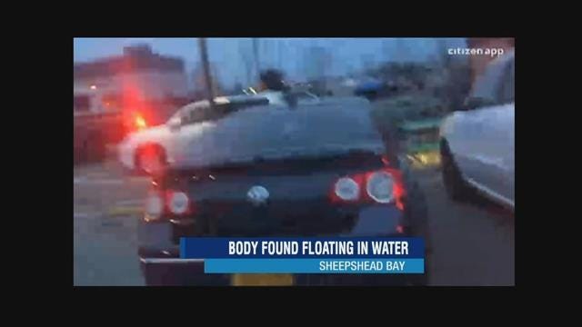 Article 46435 Thumbnail