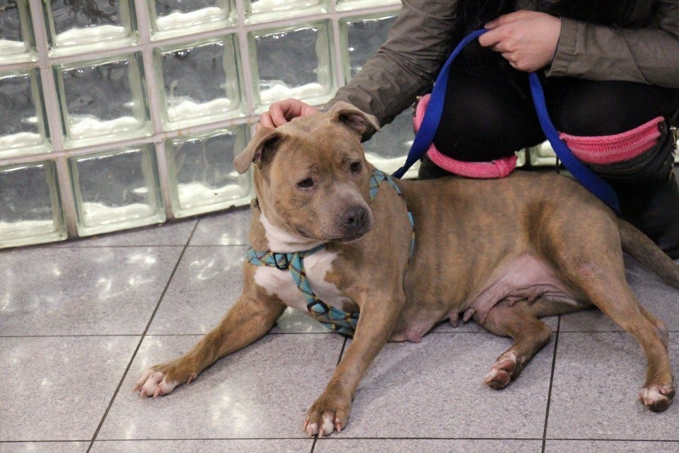 Article 112559 Thumbnail