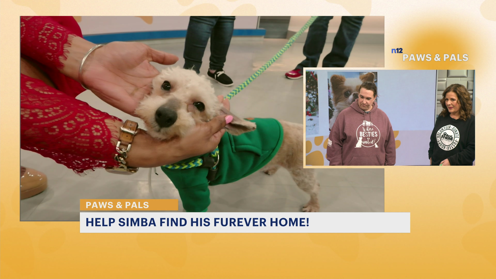 pawsandpalsfeb13_2026-02-13-10-50-15