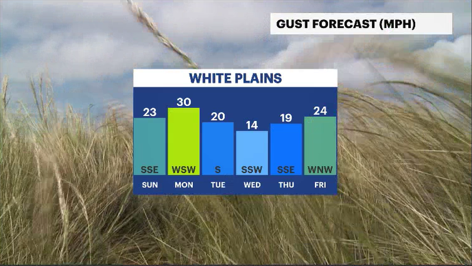 Screenshot 2026-04-11 174621.png