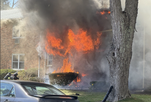 LIDeerParkAptFireViewerPhoto002