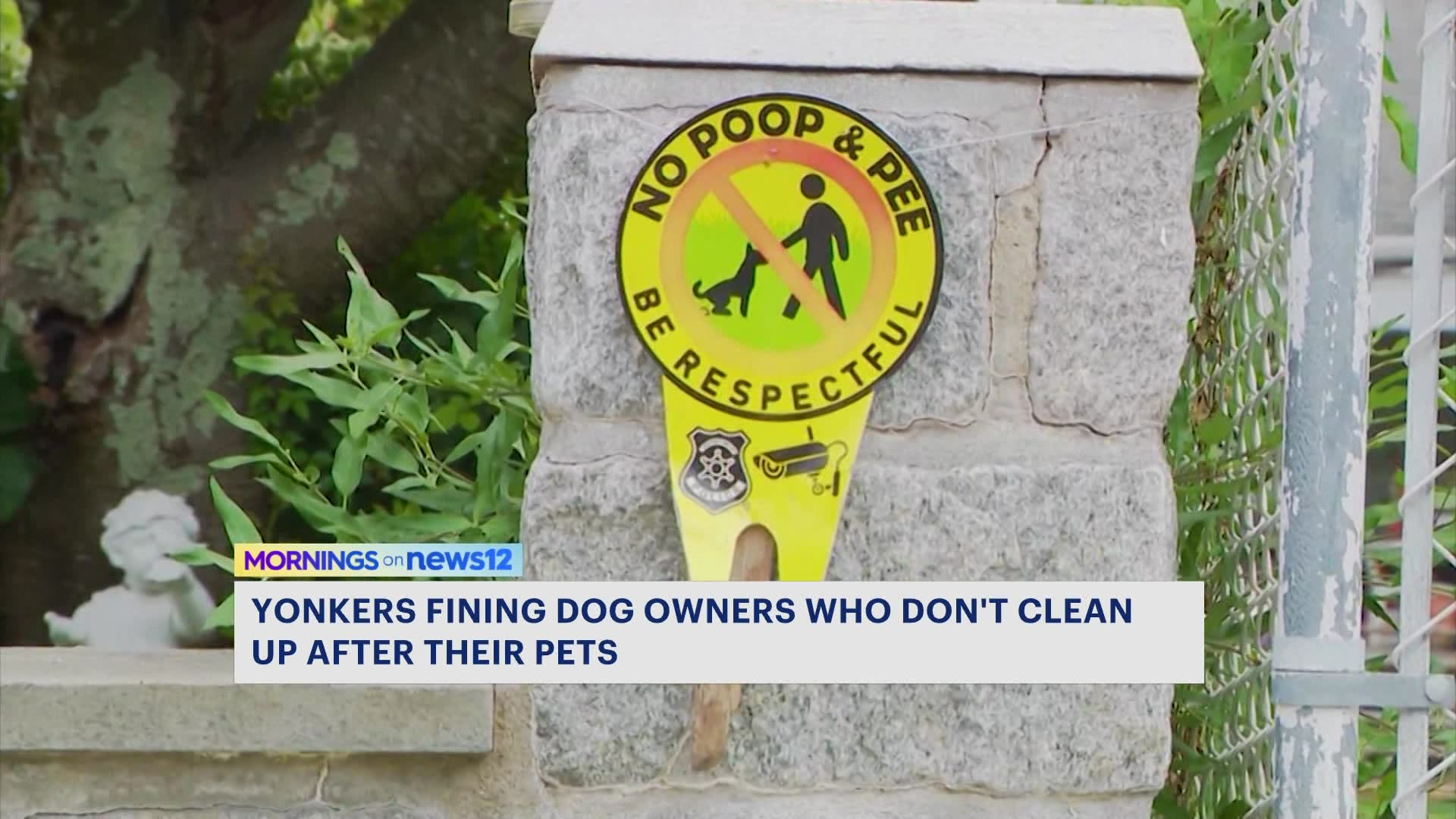 Yonkers pet owners face hefty fines for neglecting cleanup duties
