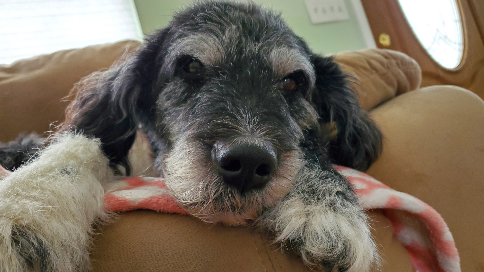 Article 257729 Thumbnail jack