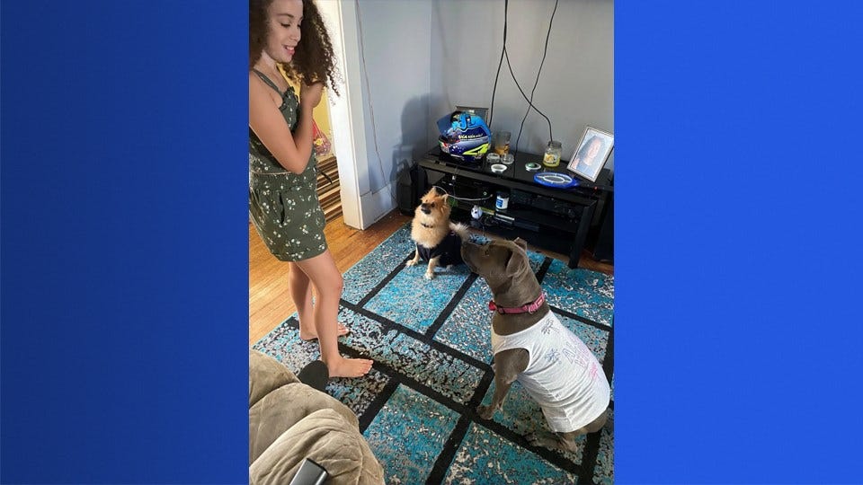 Article 14341 Thumbnail