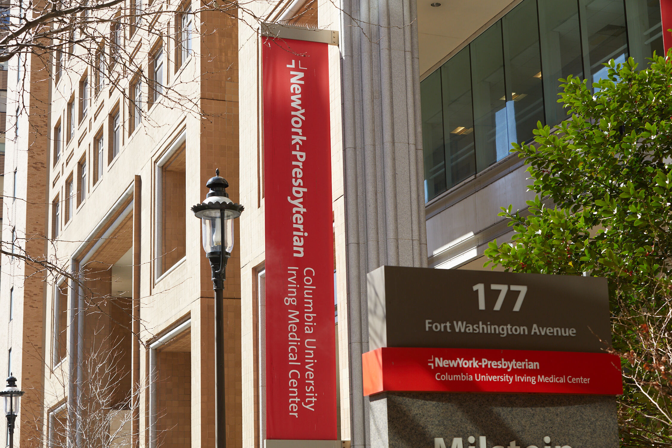 Article 267835 Hero Image