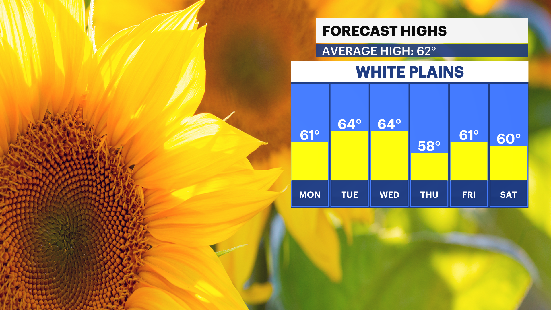 WCHV Sat 04202024 DailyTemp_Trend.png