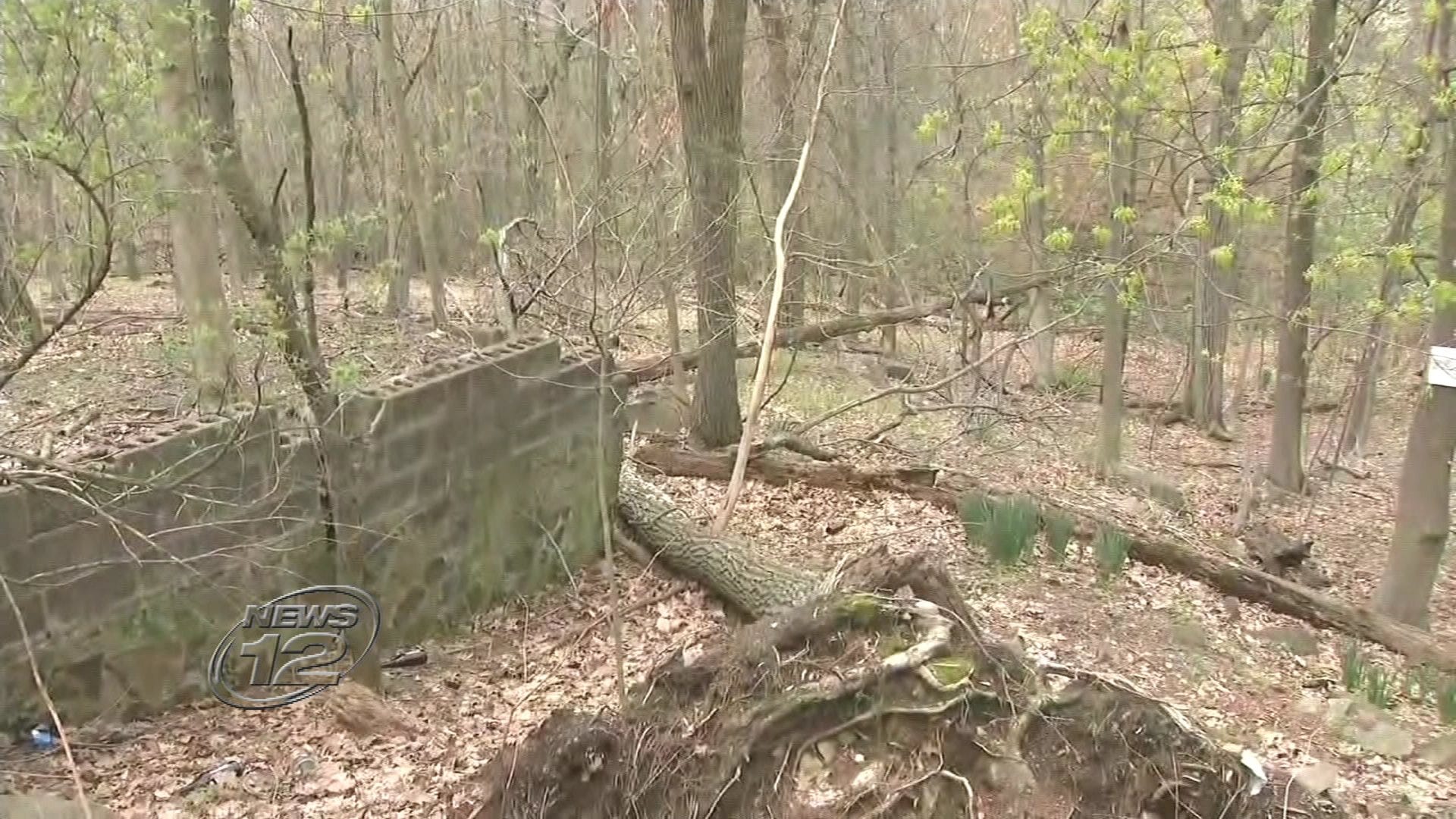 Article 115570 Thumbnail