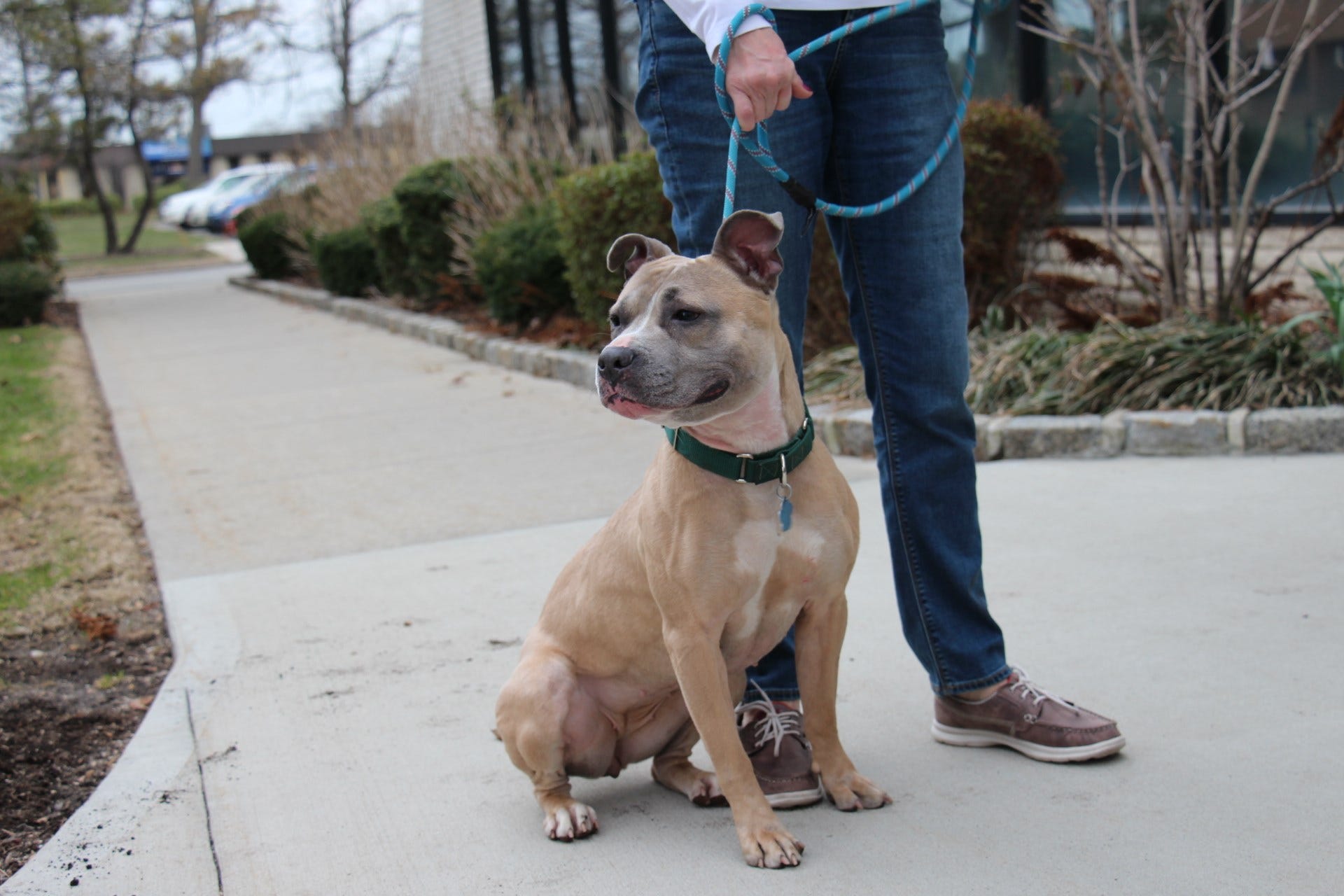 Article 123666 Thumbnail