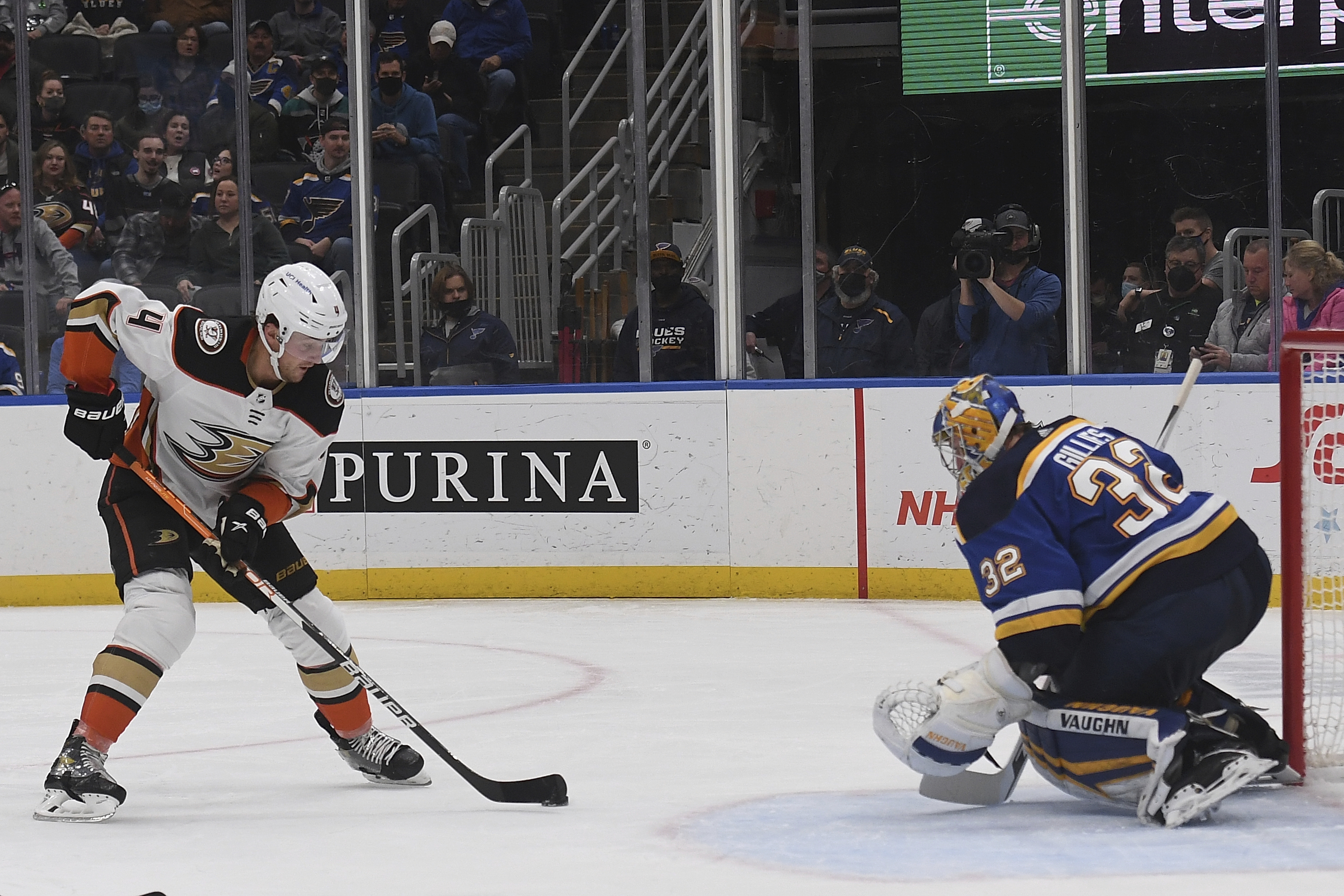 Article 280153 Hero Image