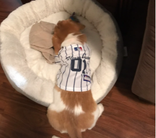 Article 108347 Thumbnail