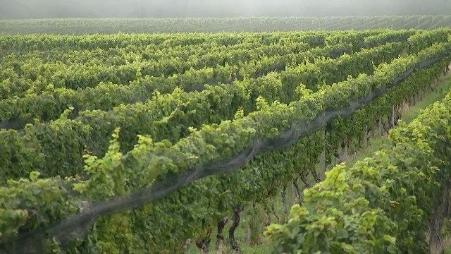 Article 34125 Thumbnail