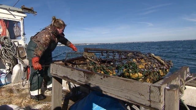 Article 116139 Thumbnail