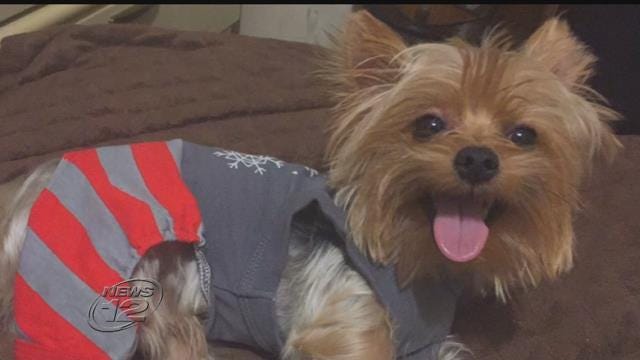 Article 141886 Thumbnail