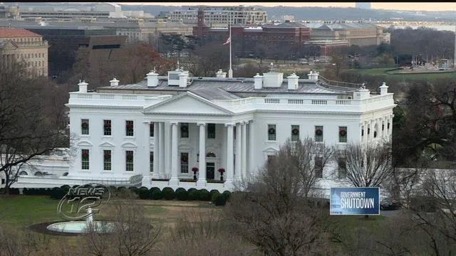 Article 49462 Thumbnail