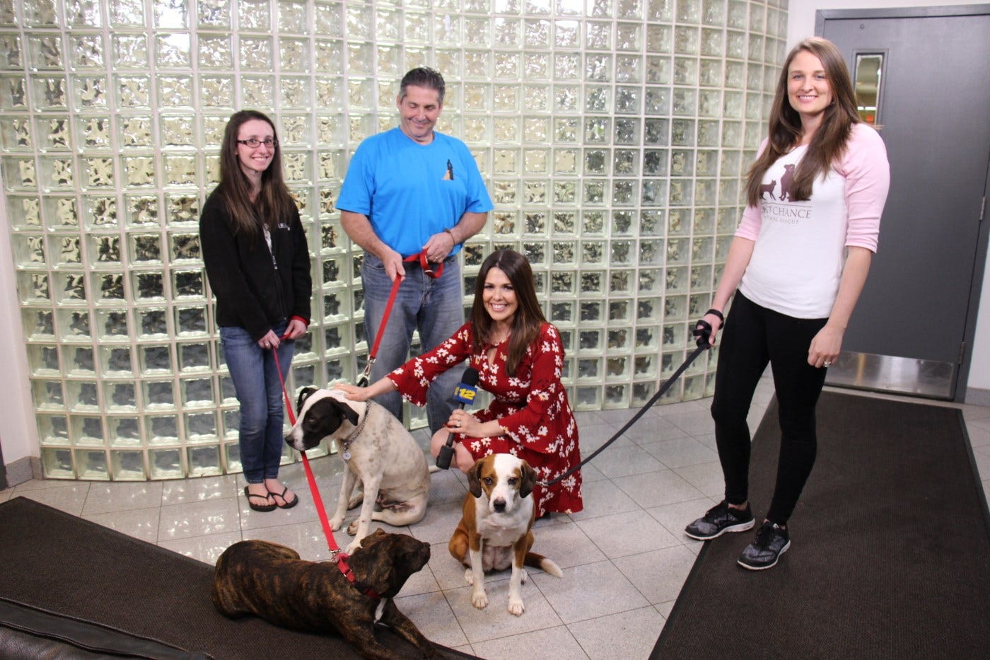 Article 115841 Thumbnail