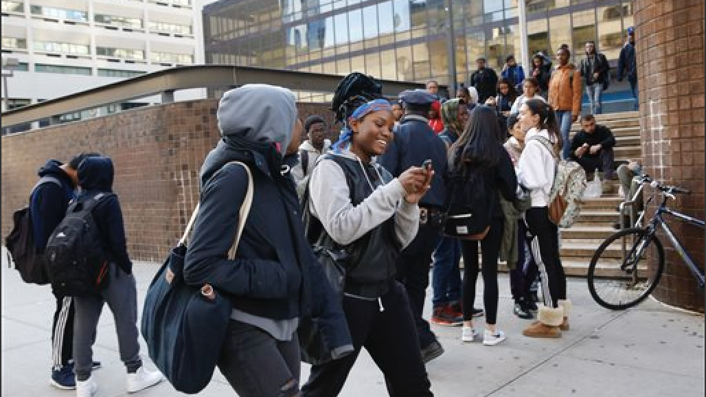 Article 12479 Thumbnail