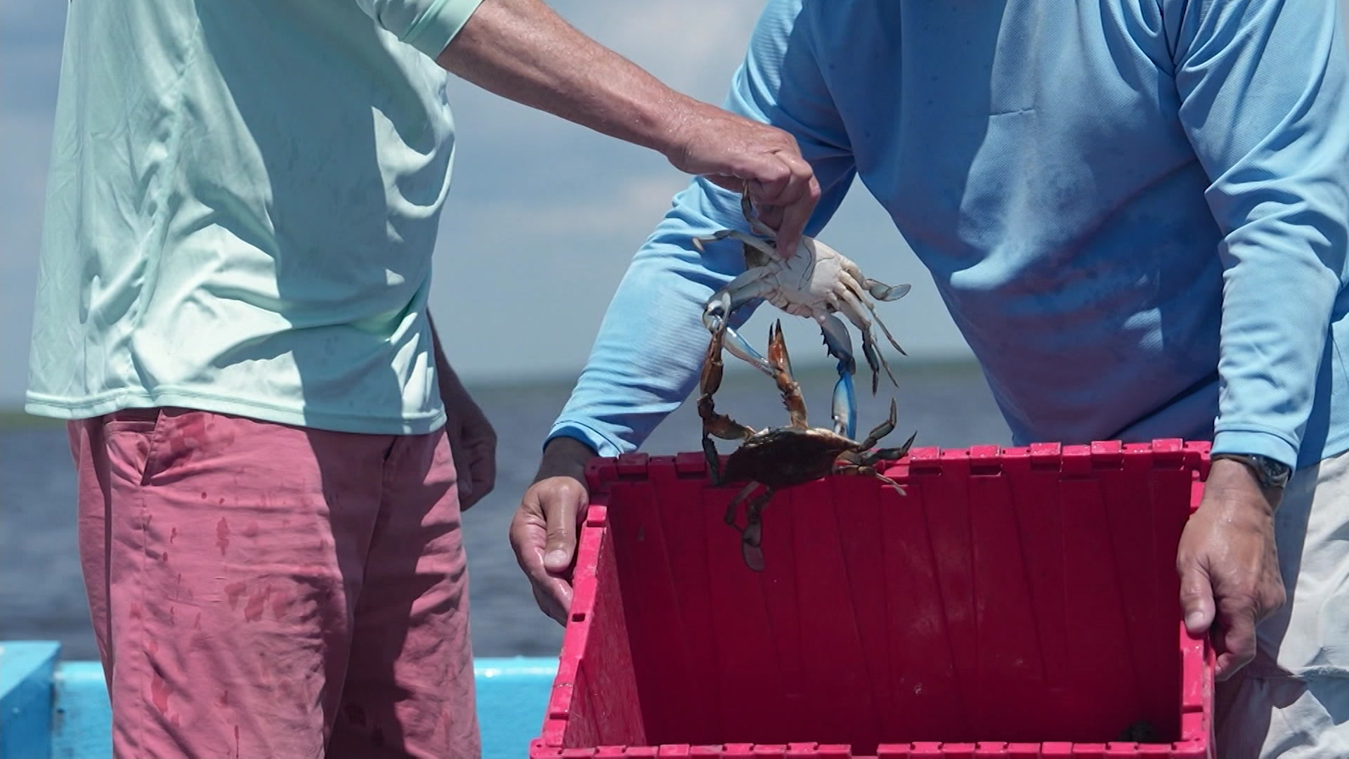 815DTSCrabbing_2025-08-15-06-51-27