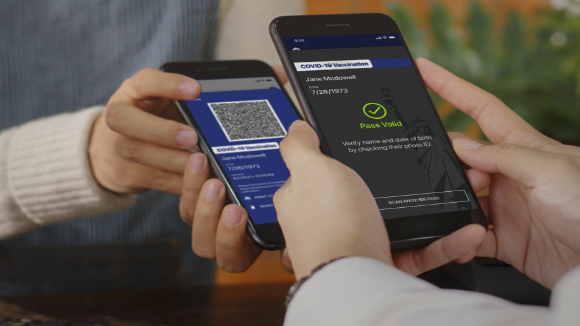 Article 258403 Hero Image