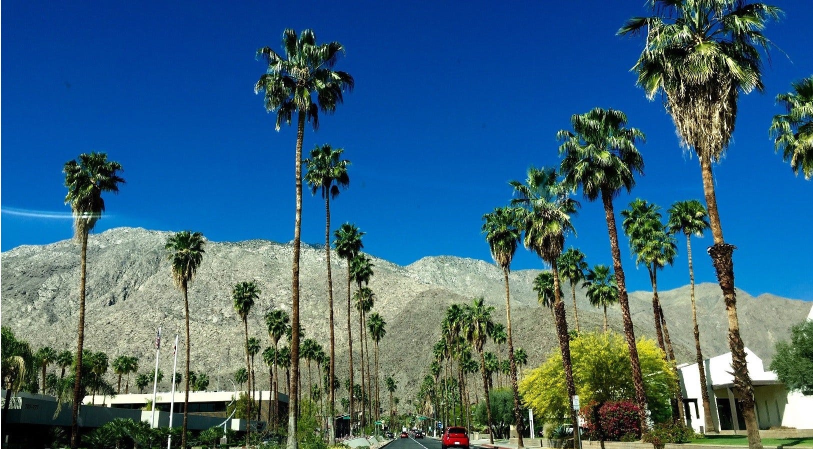 Article 114438 Thumbnail