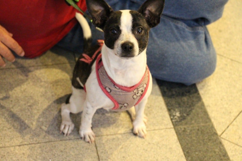 Article 34373 Thumbnail