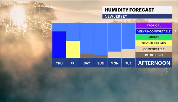 humidity forecast daily.PNG