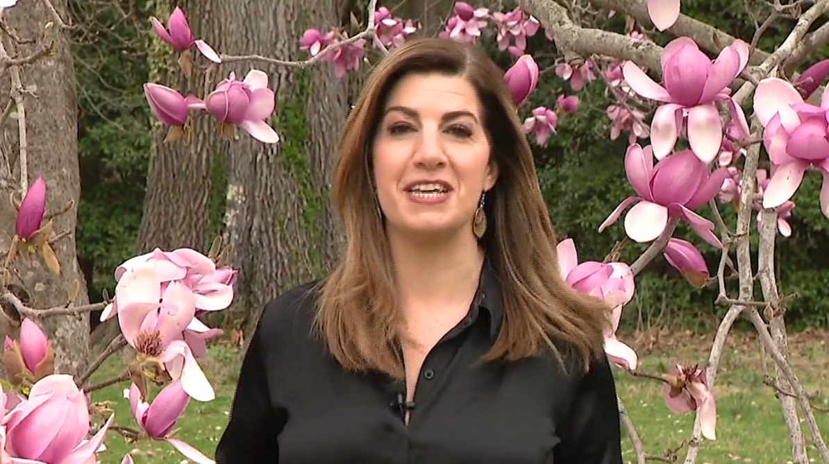 Planting Fields Arboretum