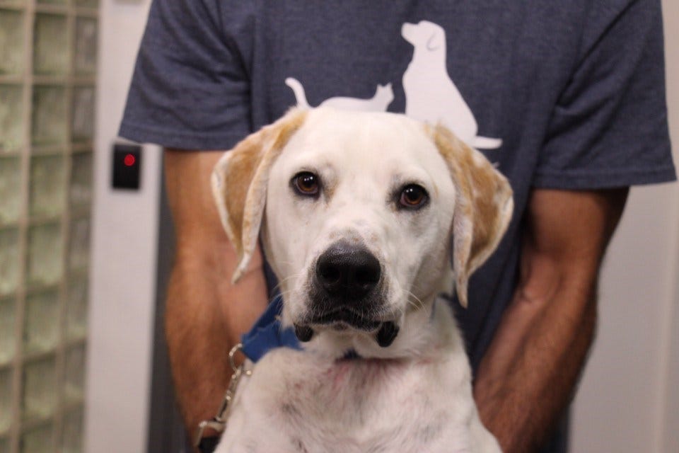 Article 132974 Thumbnail