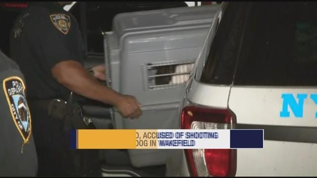 Article 144062 Thumbnail