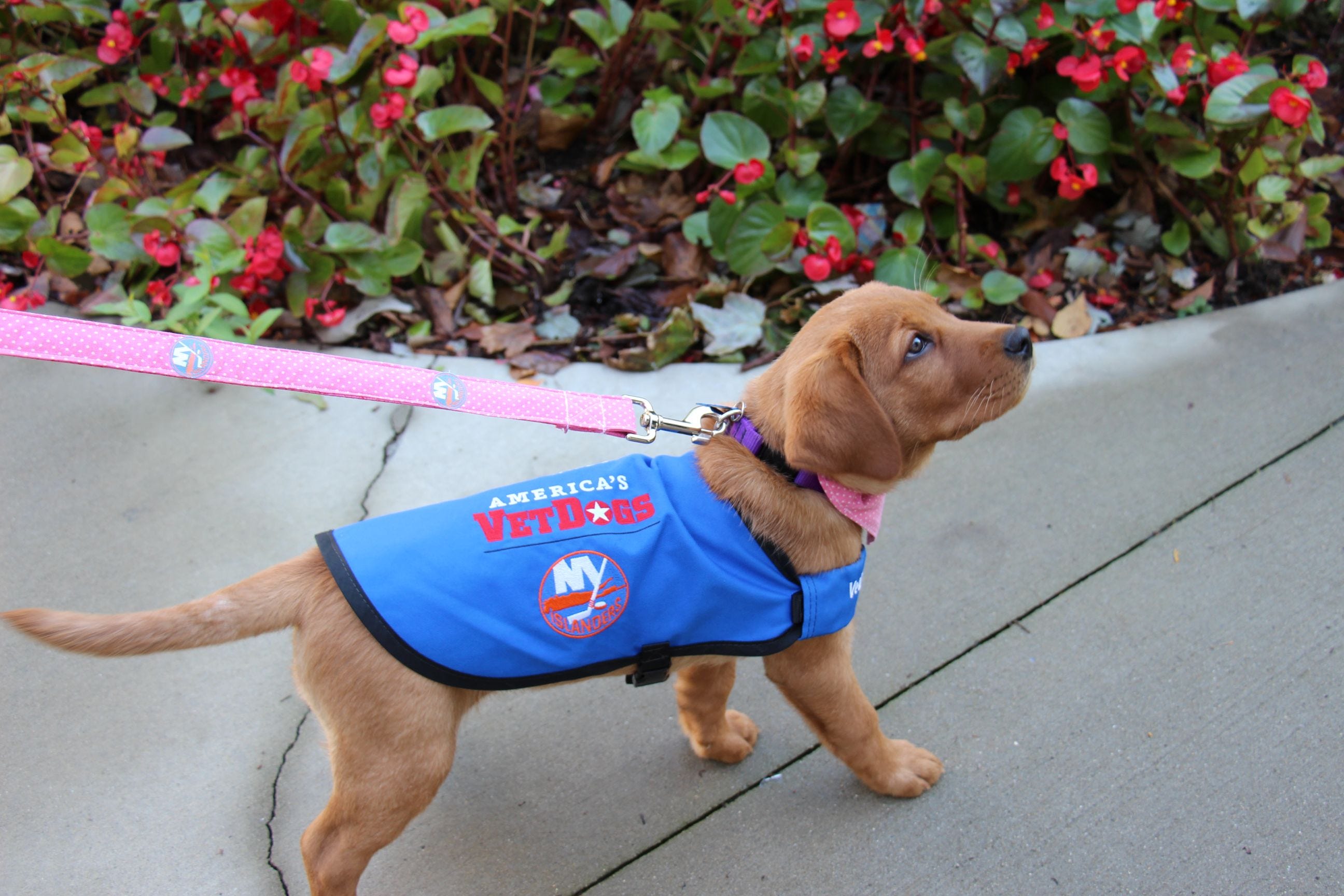 Article 18288 Thumbnail