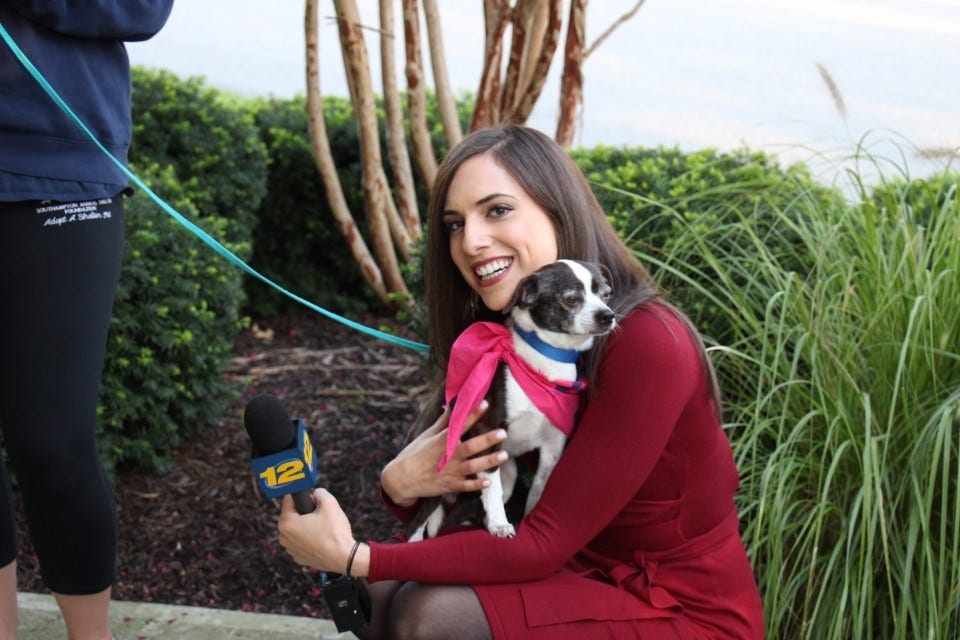 Article 131182 Thumbnail