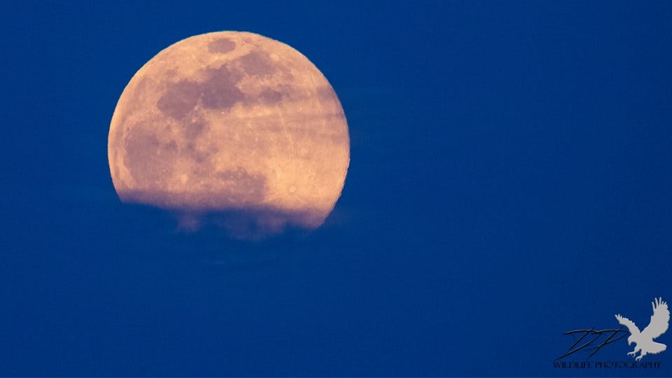 Article 23696 Thumbnail