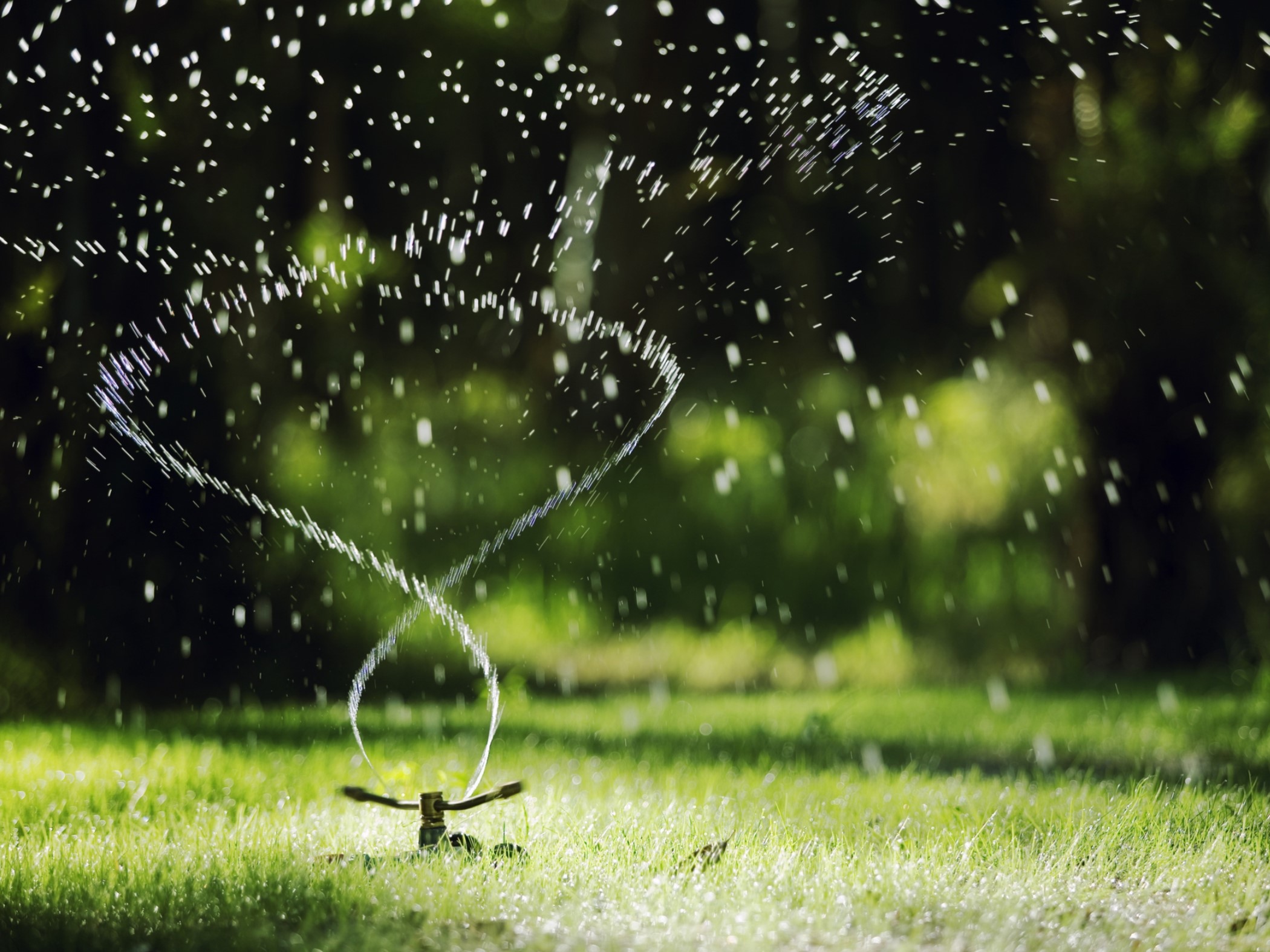 Article 267435 Hero Image