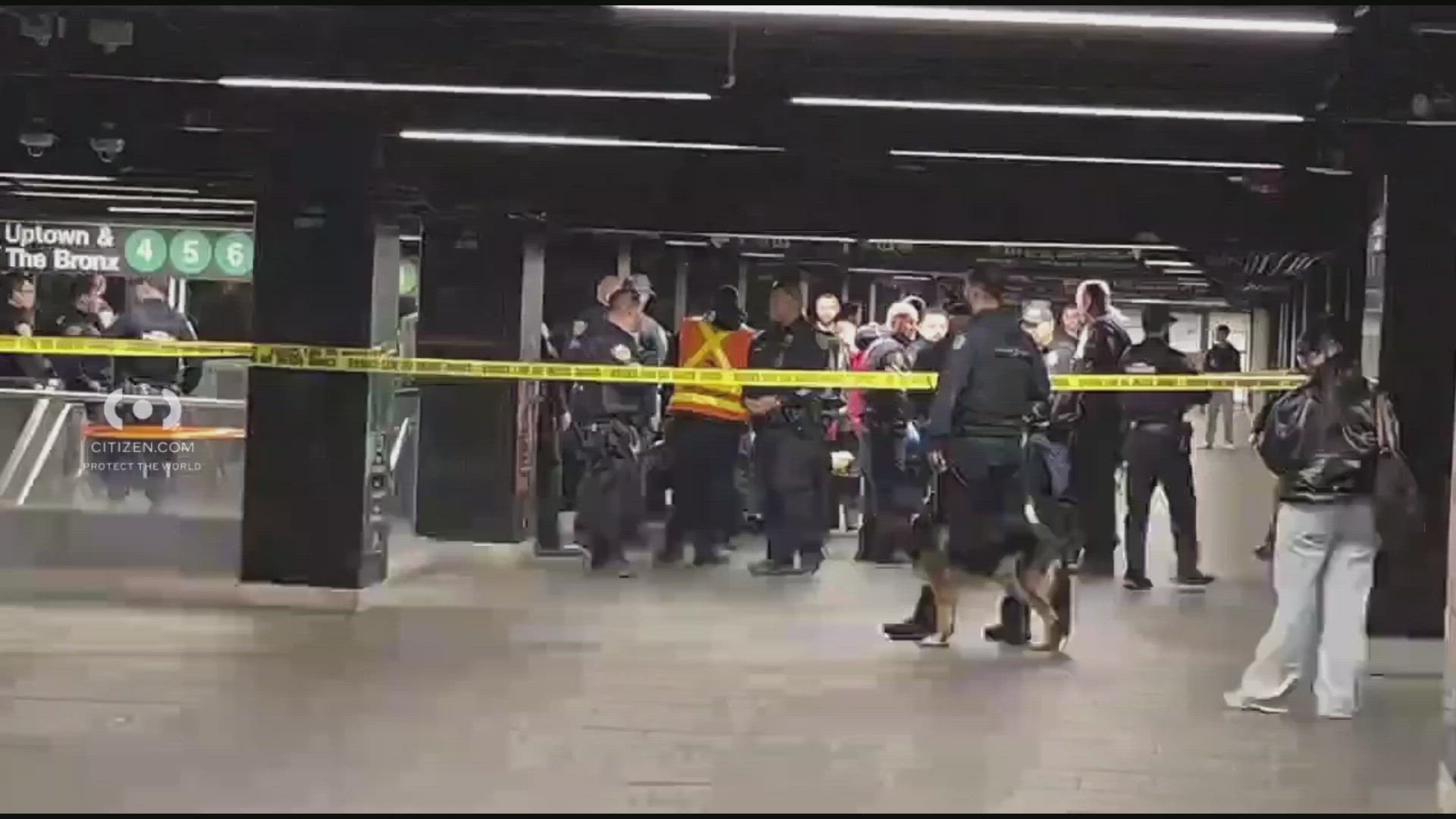 d1dddf84-31b5-4415-92c3-93f0f91222c6