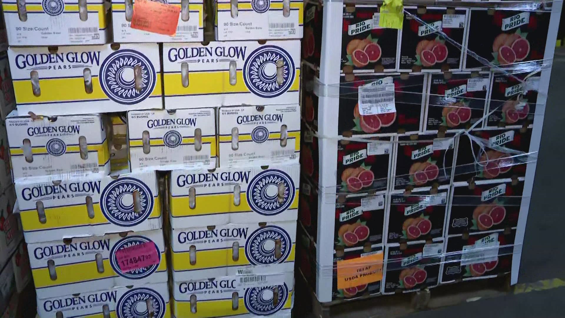 BXALLANOTR1128236A_2023-11-28-06-11-36