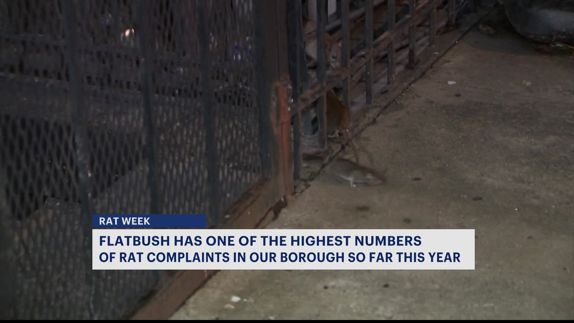 BKSHNIECE913246A_2024-09-13-06-54-57