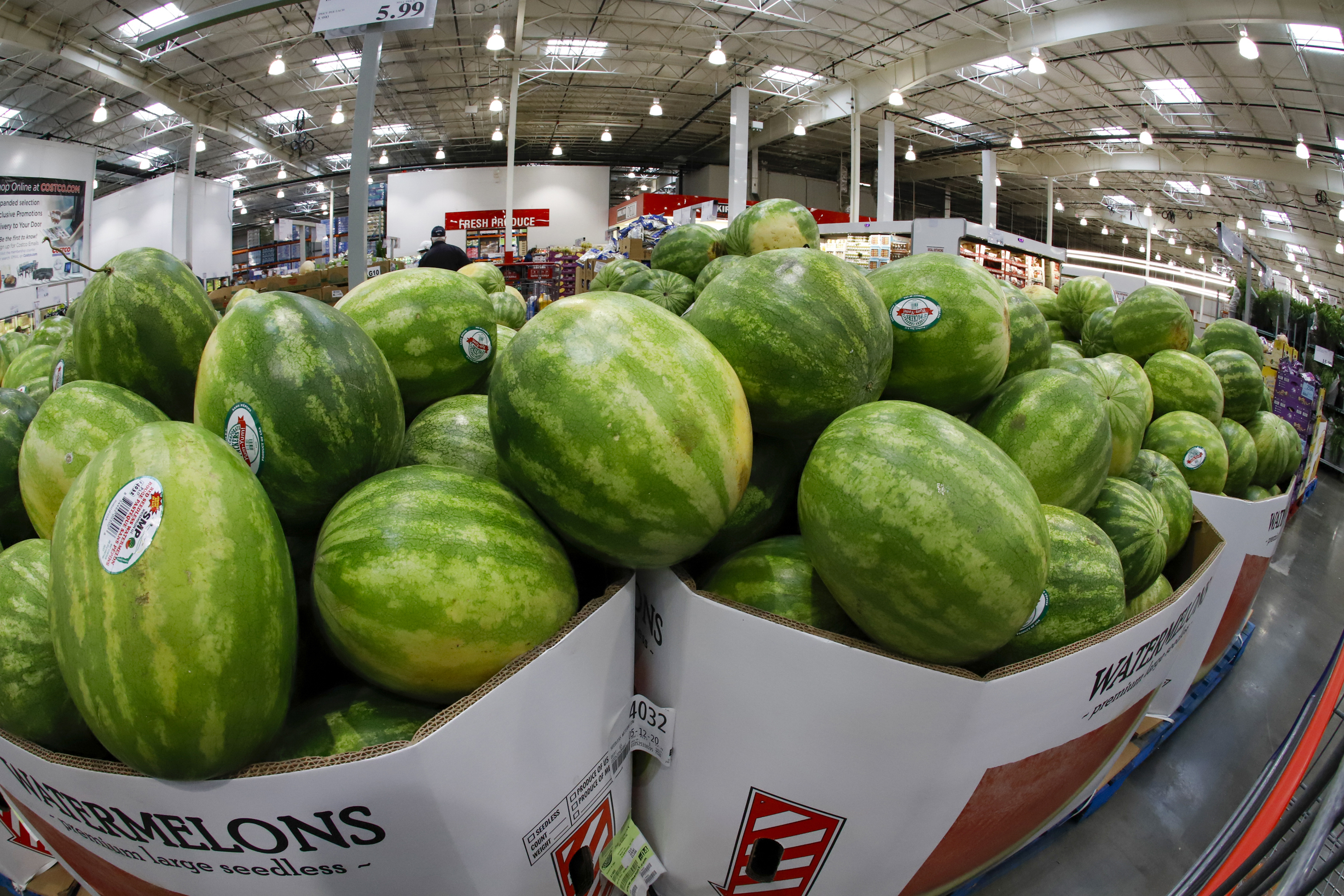 Article 266104 Hero Image