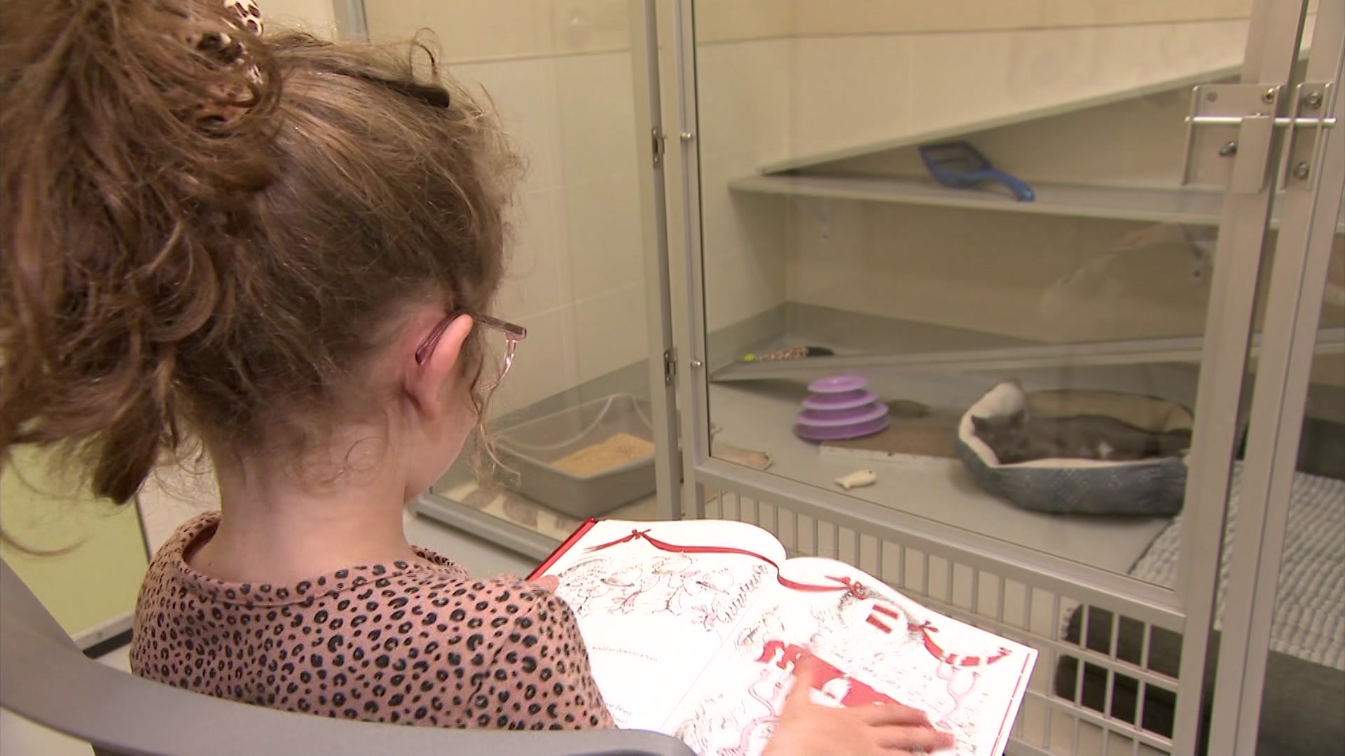 marissapkg0414_2026-04-14-17-13-53