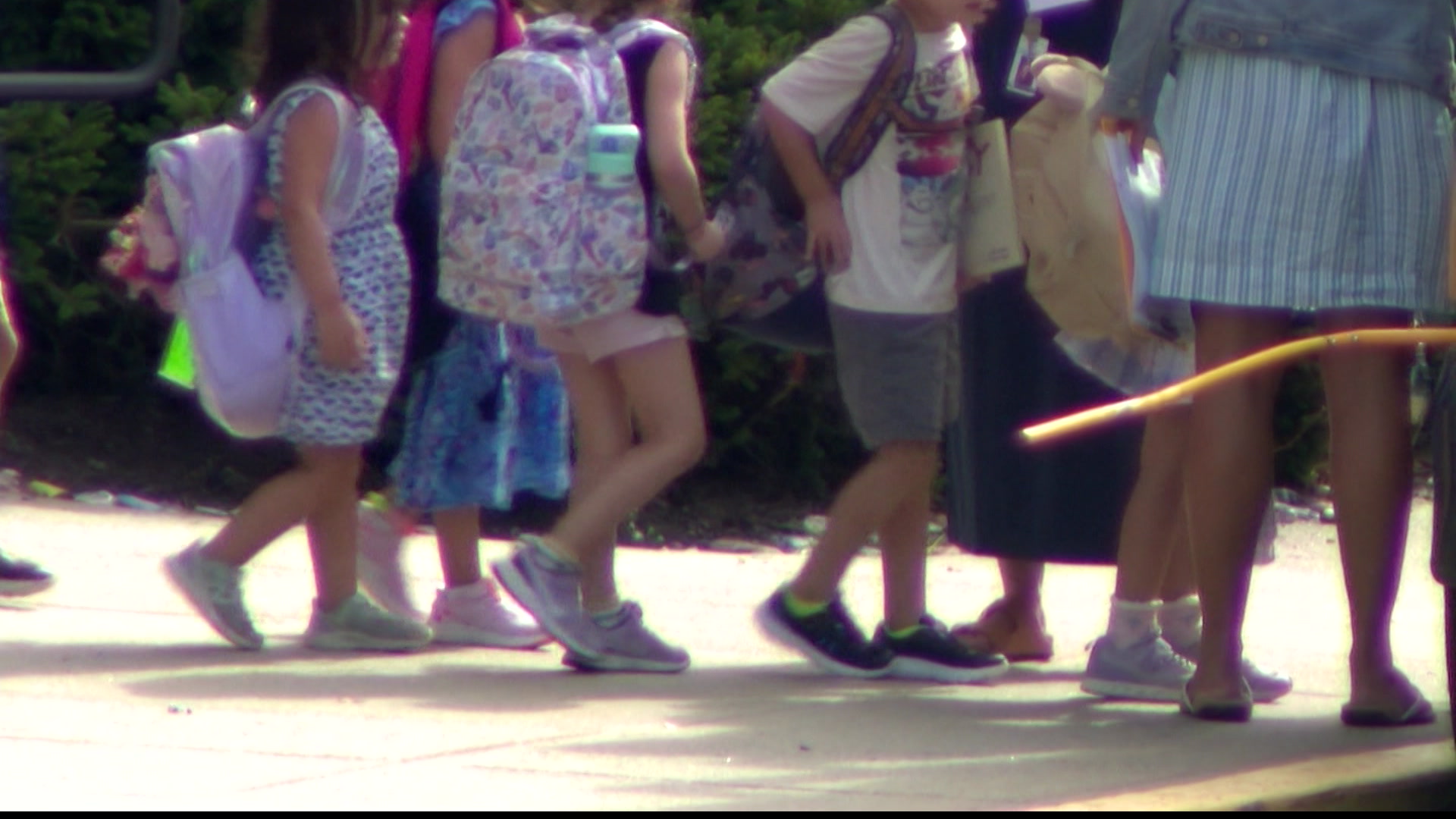 Angelicapkg826_2024-08-26-21-52-07