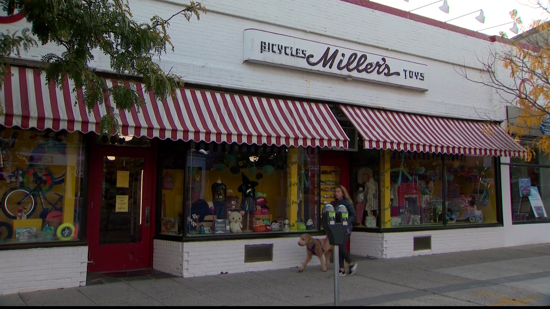 Westchester toy store celebrates 50 years in business