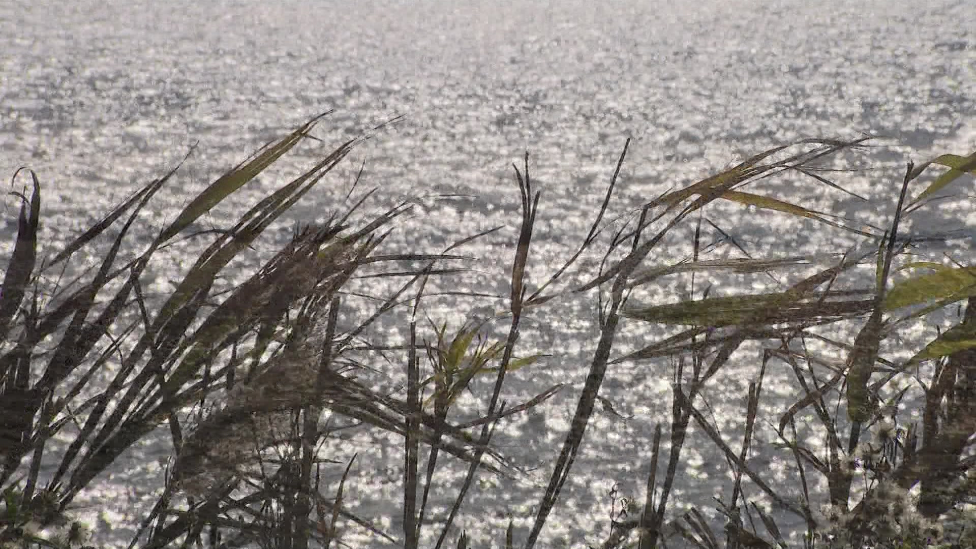 LIWater116_2024-11-06-05-23-27