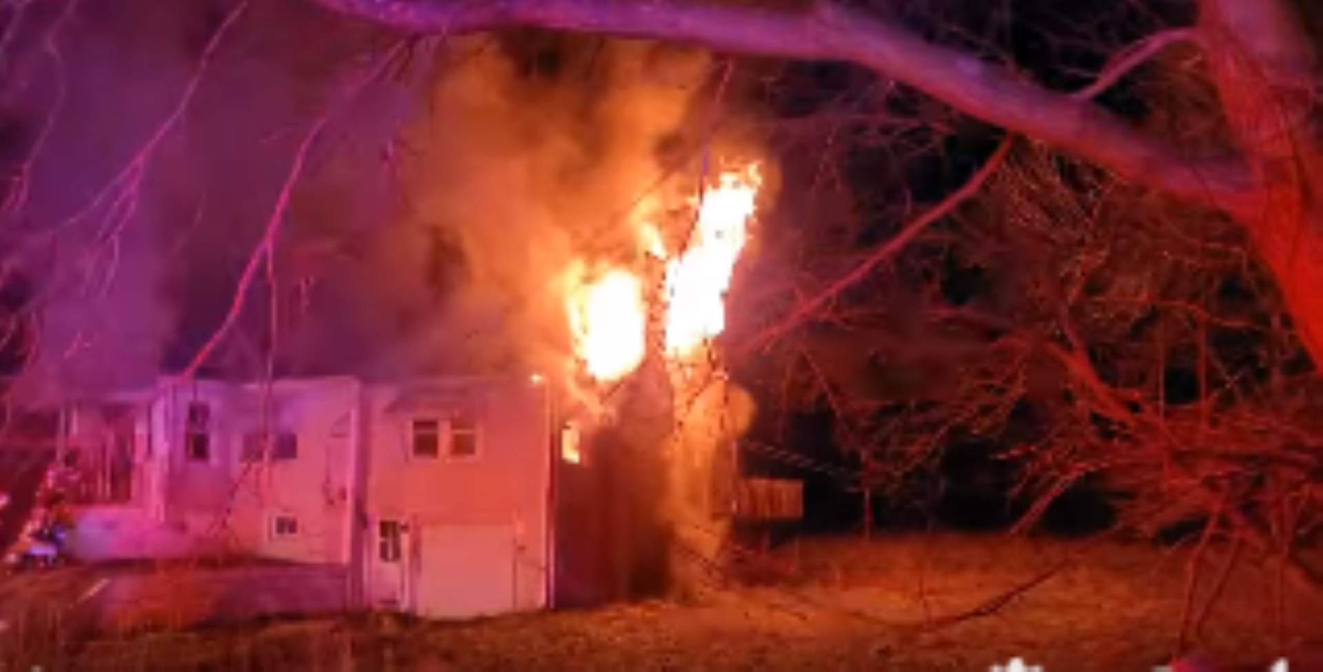 Article 281582 Hero Image