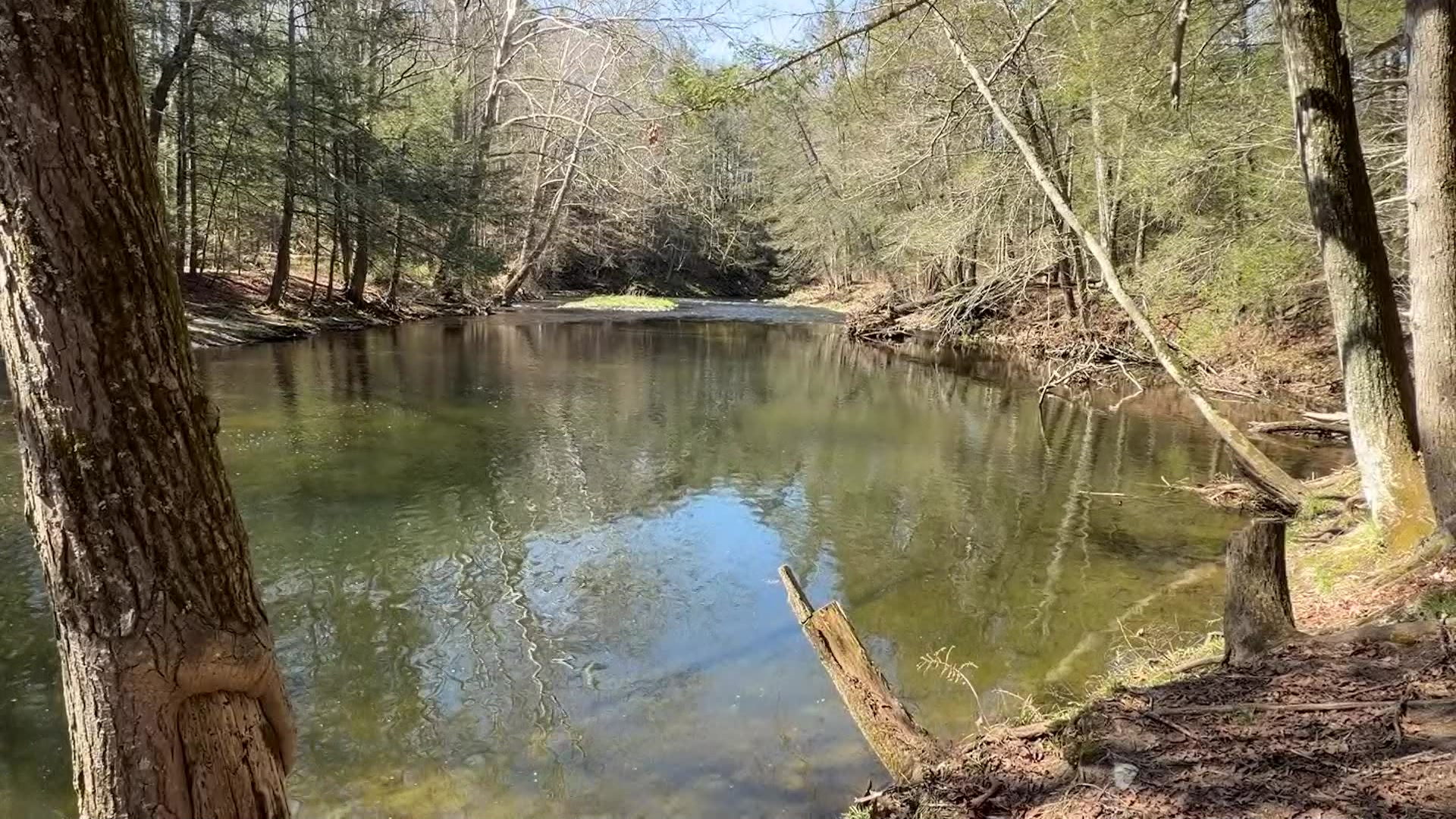 4162026CTrt_2026-04-16-05-25-23