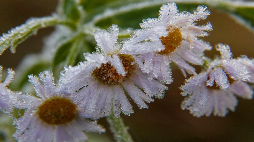 Article 26042 Thumbnail