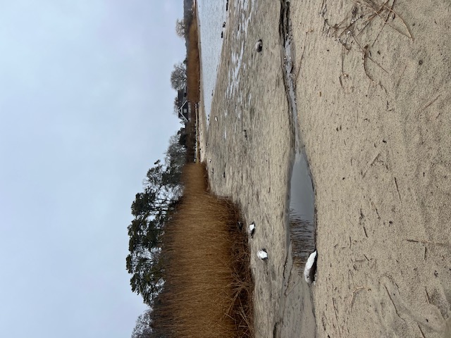 64f3e623-f5fa-464b-b6f9-0a3455198e5b