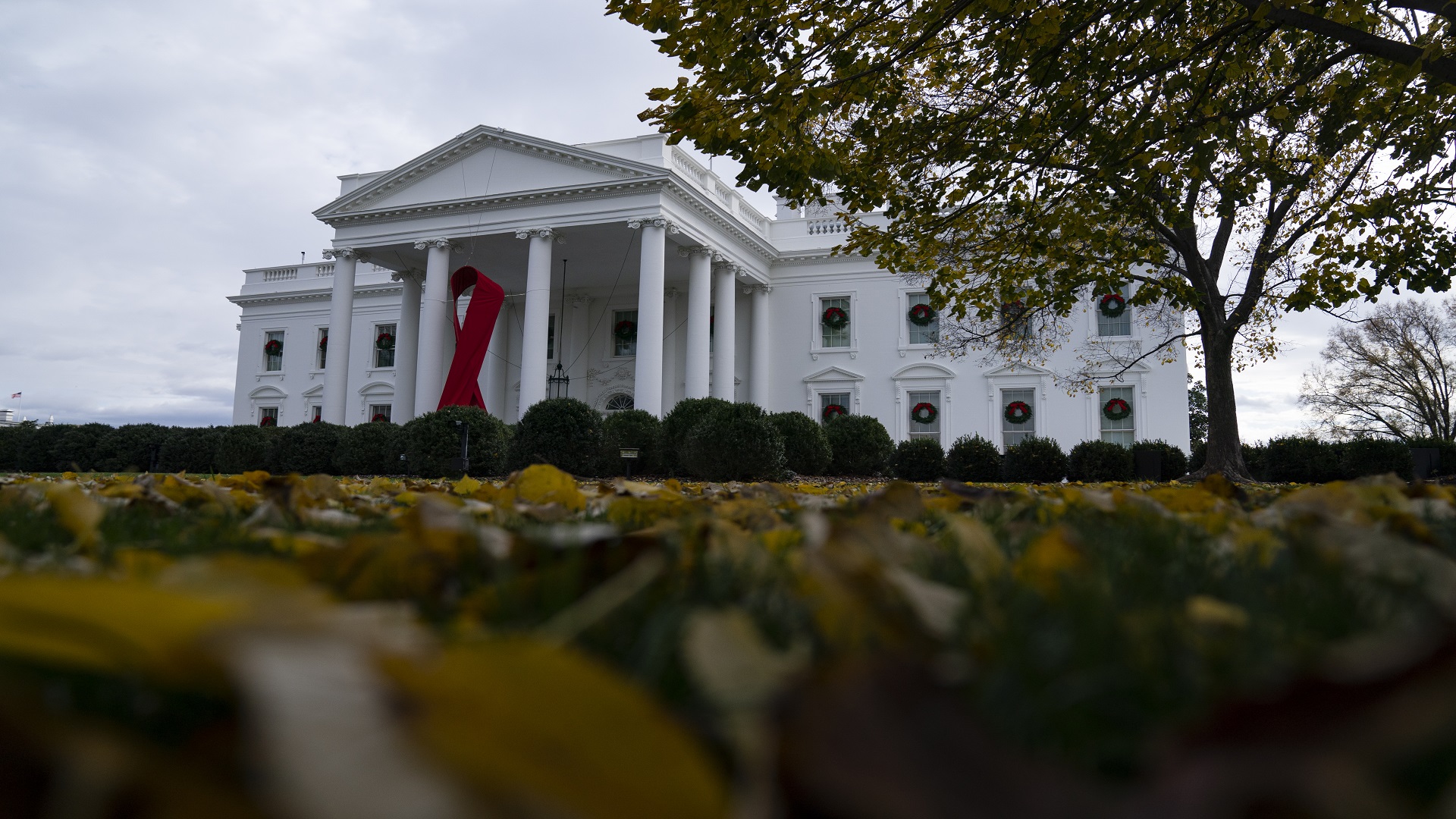 Article 245876 Hero Image