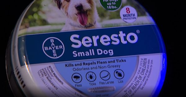 are seresto collars safe for small dogs