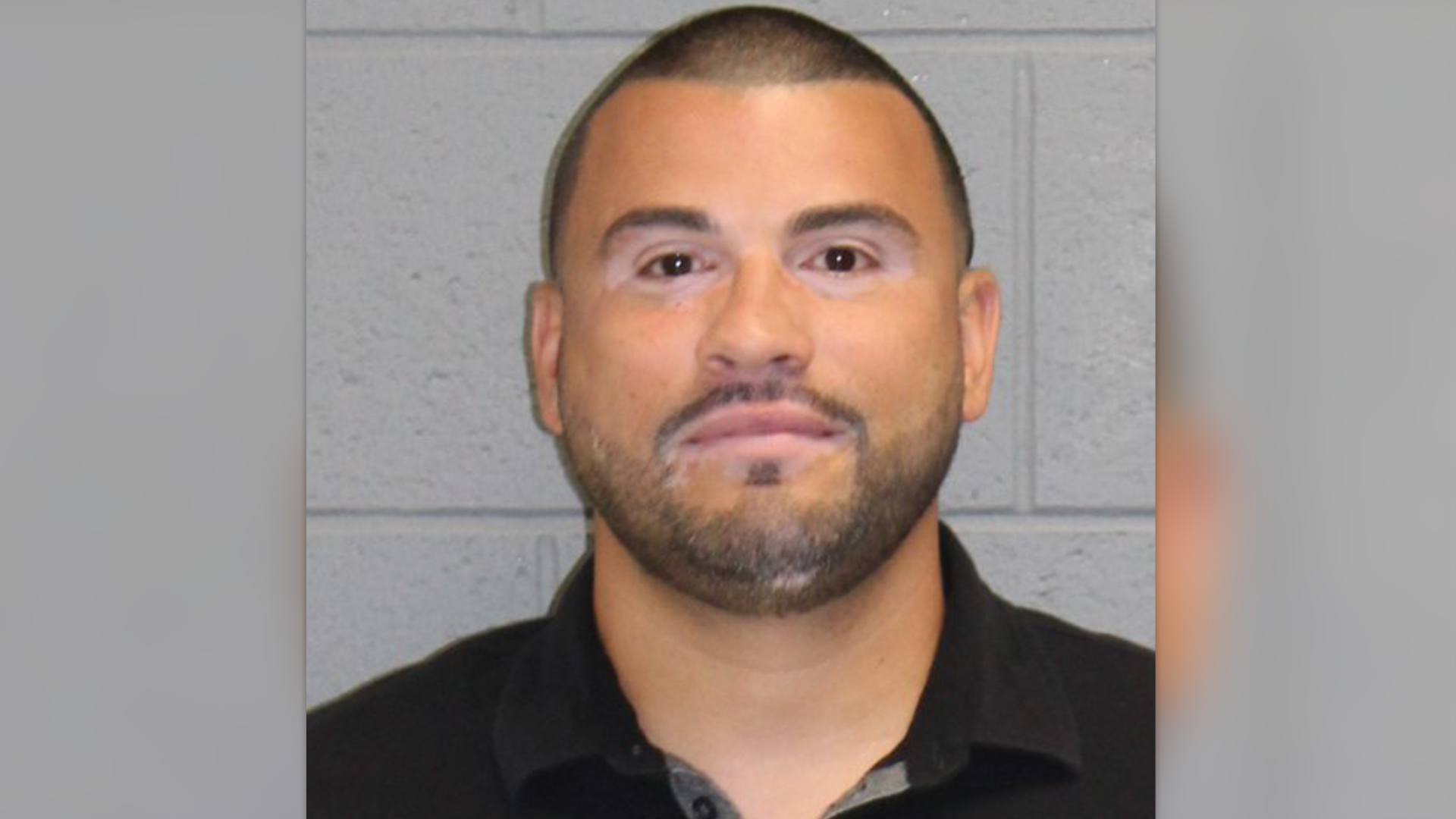 Police New Canaan officer accused of killing dogs and keeping illegal